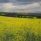yellow field: sherbrooke