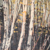birch forest 2